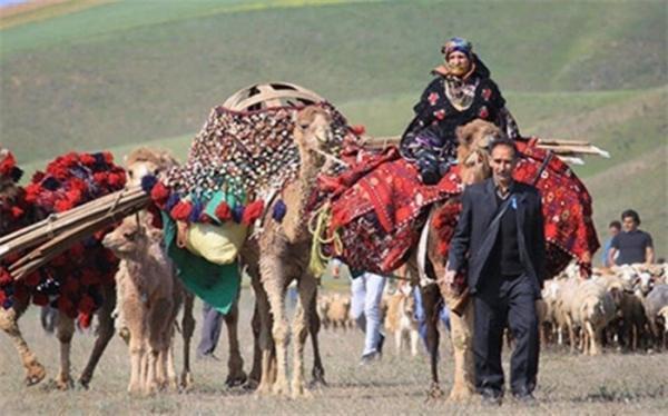 کاهش بارندگی عشایررامجبور به فروش دام هایشان کرد