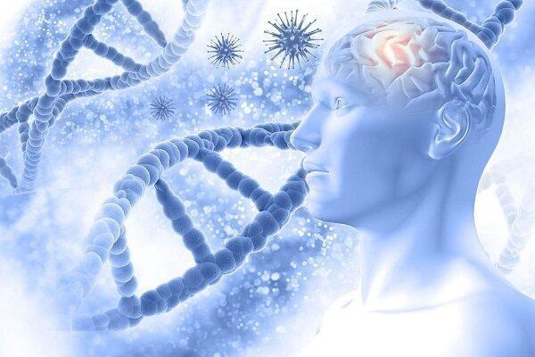 مقابله با آلزایمر به یاری فناوری مافوق صوت