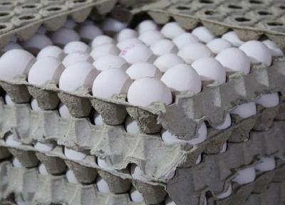 شرایط بازار تخم مرغ در روزهای پایانی سال ، تخم مرغ شانه ای چند؟