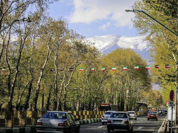 کاشت 300 اصله درخت چنار در خیابان ولیعصر ، افتتاح 20 بوستان ویژه مادر و کودک تا آخر فروردین